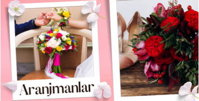 aranjmanlar